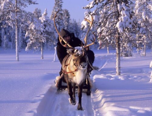 Winterabenteuer in Schwedisch-Lappland