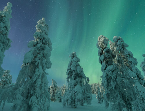 Finnland –  Foto- und Polarlichtreise mit Thomas Kast