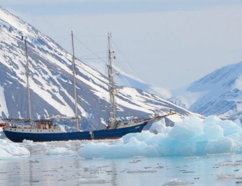 Norwegen-Segeln,Nordlichter und Waale