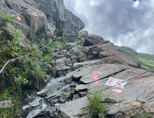 Alpenüberquerung-Oberstdorf-Meran-gefuehrt