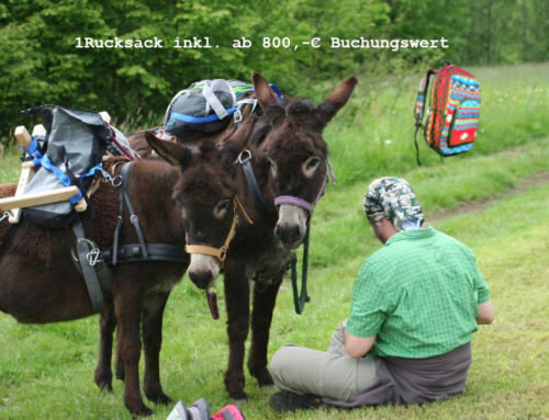 Eselwandern Bayerischer Wald – Sonnenwald