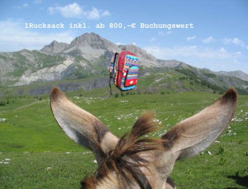 Eselwandern Provence – Frankreich